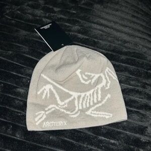 Arc'teryx Gray Beanie Birdhead Toque New